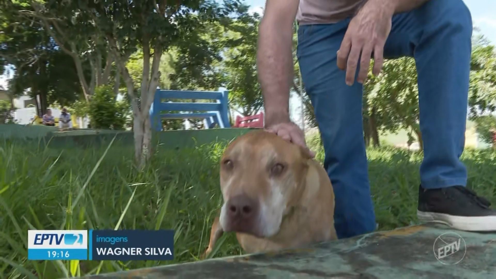 foto Not&iacute;cia Cláudio