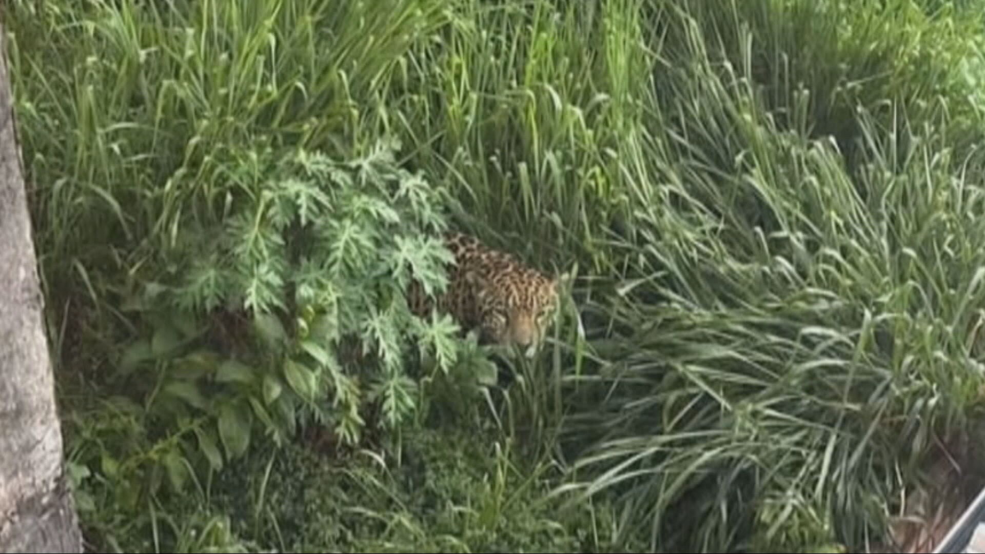 foto Not&iacute;cia Cláudio